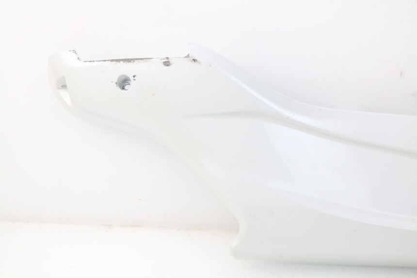 photo de RECHTER SEITENSCHWELLER DAELIM S3 125 (2010 - 2017)