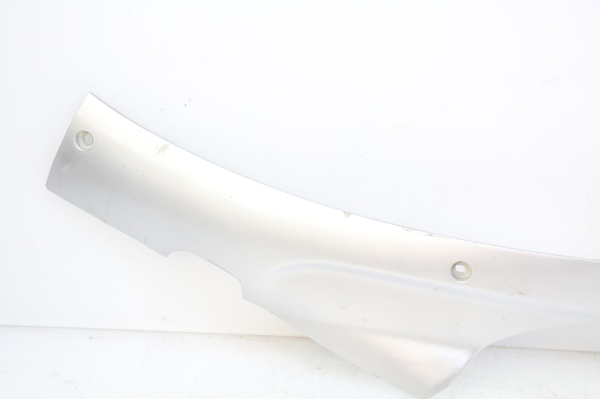 photo de LINKER UNTERE SEITENVERKLEIDUNG BAOTIAN BT 49 QT-9 50 (2006 - 2010)