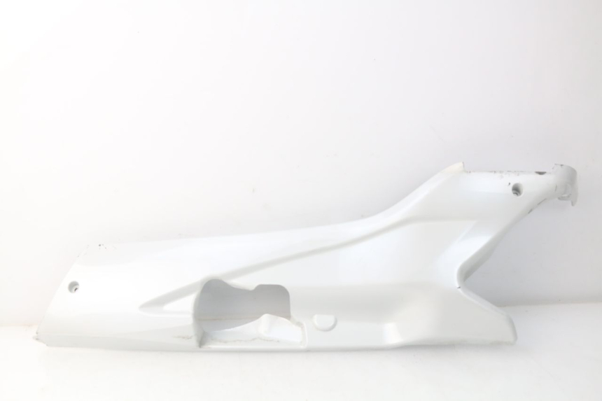 photo de LINKER UNTERE SEITENVERKLEIDUNG DAELIM S3 125 (2010 - 2017)