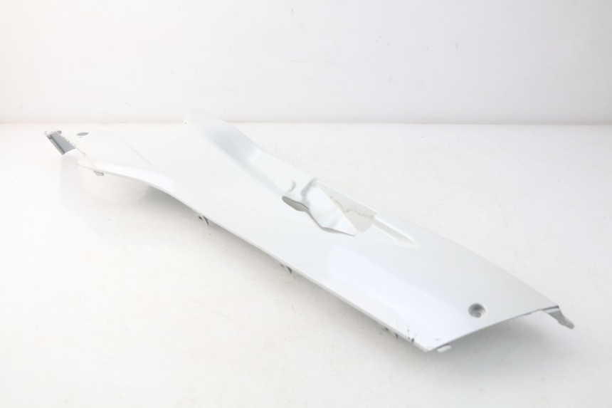 photo de LINKER UNTERE SEITENVERKLEIDUNG DAELIM S3 125 (2010 - 2017)