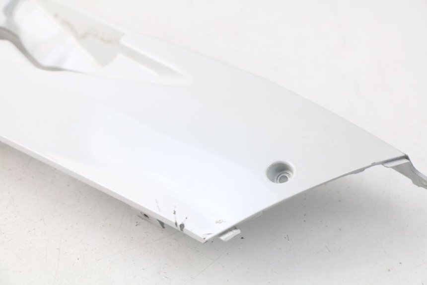 photo de LINKER UNTERE SEITENVERKLEIDUNG DAELIM S3 125 (2010 - 2017)