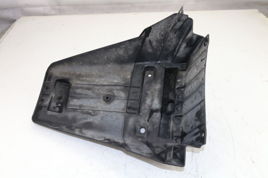 photo de SPRITZSCHUTZ DAELIM S2 FI 125 (2008 - 2017)