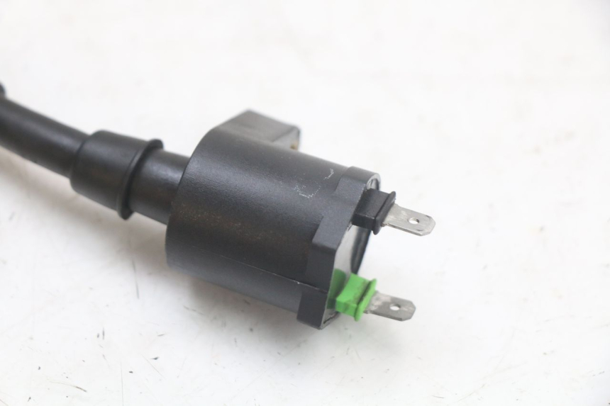photo de ZüNDSPULE JM MOTORS OLDIES 4T 50 (2010 - 2020)