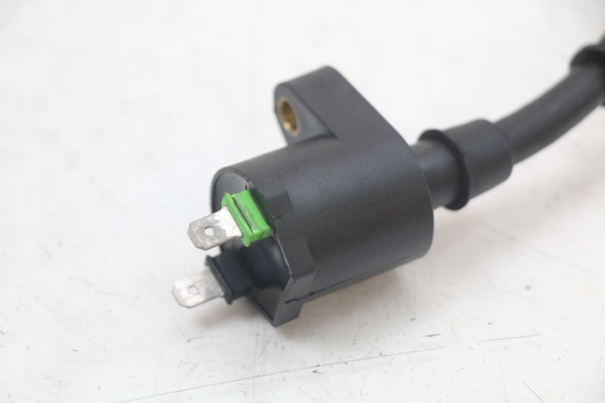 photo de ZüNDSPULE JM MOTORS OLDIES 4T 50 (2010 - 2020)
