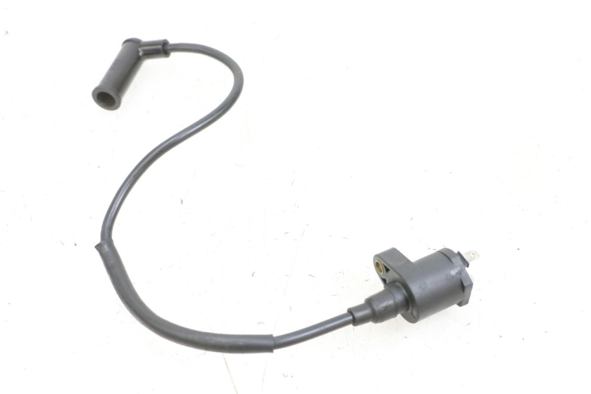 photo de ZüNDSPULE JM MOTORS OLDIES 4T 50 (2010 - 2020) - Hauptansicht