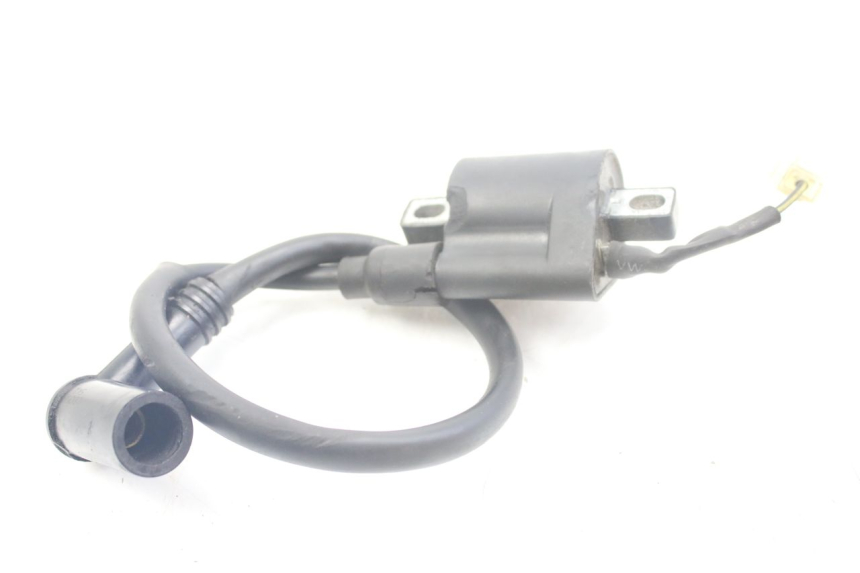 photo de ZüNDSPULE IMF INDUSTRIE PACH 2T 50 (2009 - 2018)