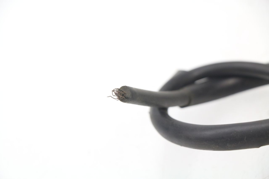 photo de ZüNDSPULE RIDE RACE 2T 50 (2012 - 2017)