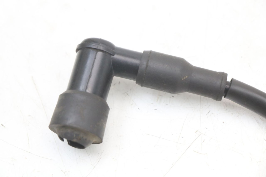 photo de ZÜNDSPULE TNT MOTOR ROMA 10' 2T 50 (2011 - 2018)