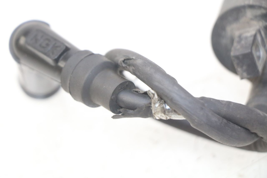 photo de ZüNDSPULE TNT MOTOR ROMA 10' 4T 50 (2019 - 2022)