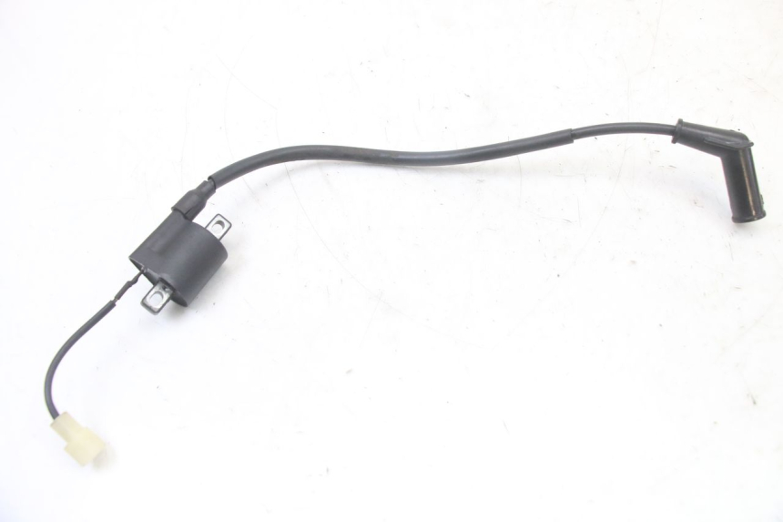 photo de ZÜNDSPULE TNT MOTOR ROMA 10' 2T 50 (2011 - 2018)