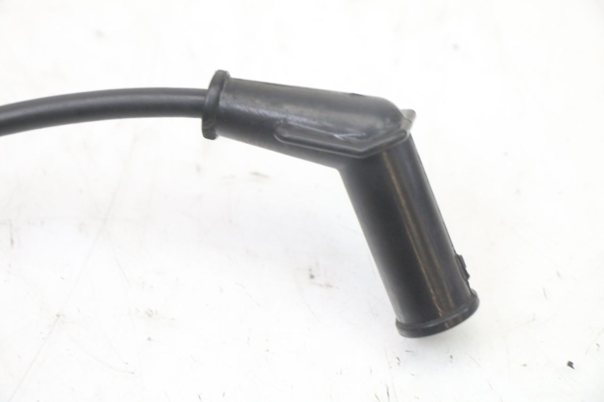 photo de ZÜNDSPULE TNT MOTOR ROMA 10' 2T 50 (2011 - 2018)