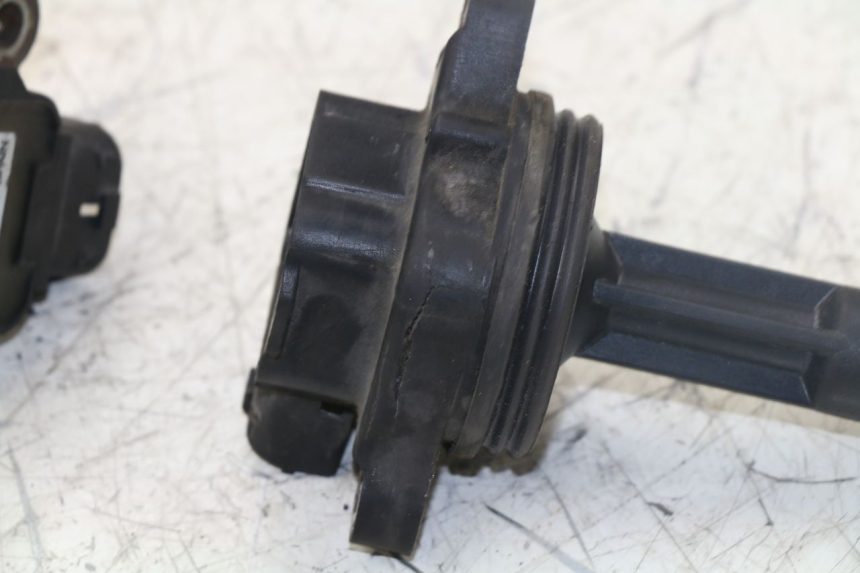 photo de ZÜNDSPULE TRIUMPH TIGER 955 (2001 - 2004) - Alternative Perspektive