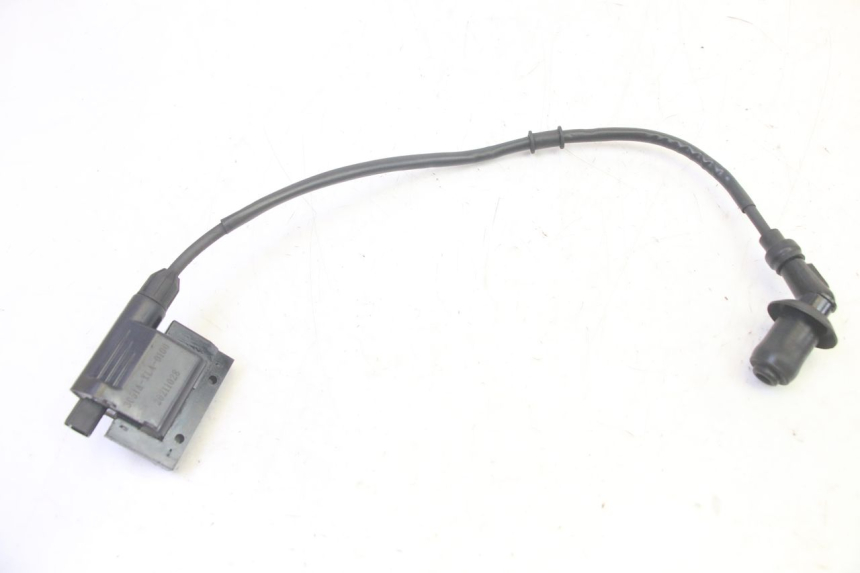 photo de ZÜNDSPULE PEUGEOT TWEET PRO EFI 4T 50 (2021 - 2022)