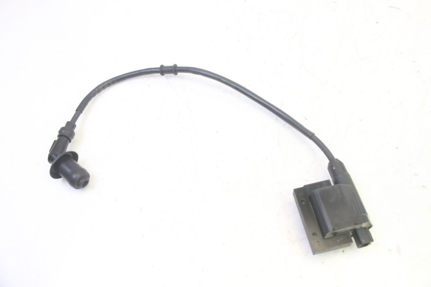 photo de ZÜNDSPULE PEUGEOT TWEET PRO EFI 4T 50 (2021 - 2022)