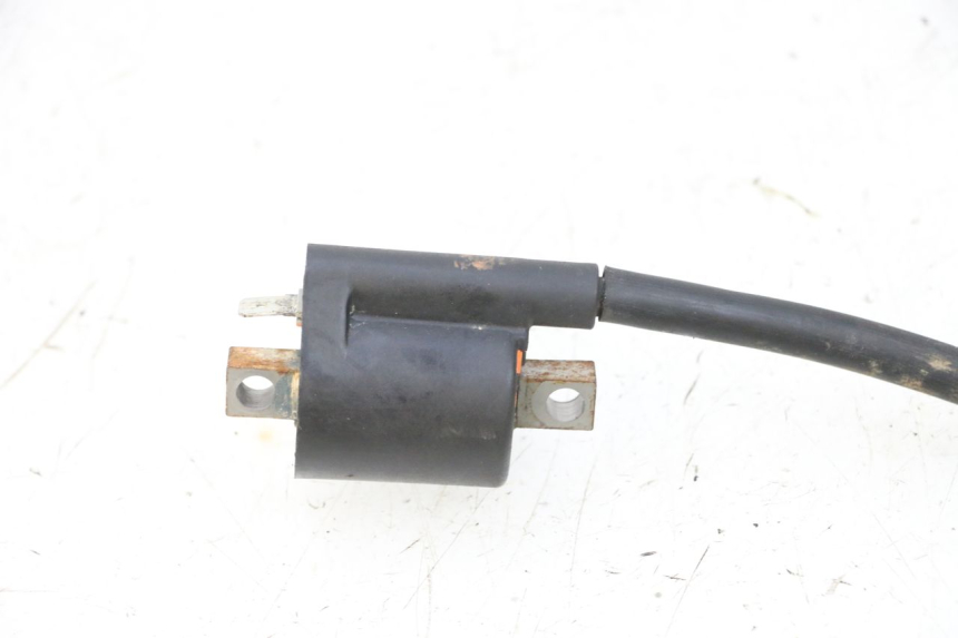 photo de ZÜNDSPULE YAMAHA YFM R RAPTOR 250 (2008 - 2014) - Alternative Perspektive