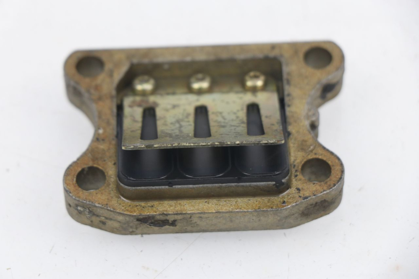 photo de MEMBRANBLOCK DERBI SENDA SM DRD 50 (2008 - 2013)