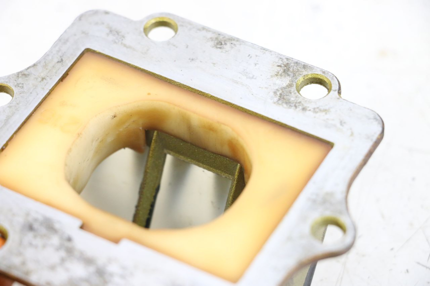 photo de MEMBRANBLOCK KAWASAKI KDX 125 (1990 - 1991)