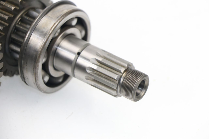 photo de GETRIEBE  TRIUMPH SPRINT RS 955 (2000 - 2001)