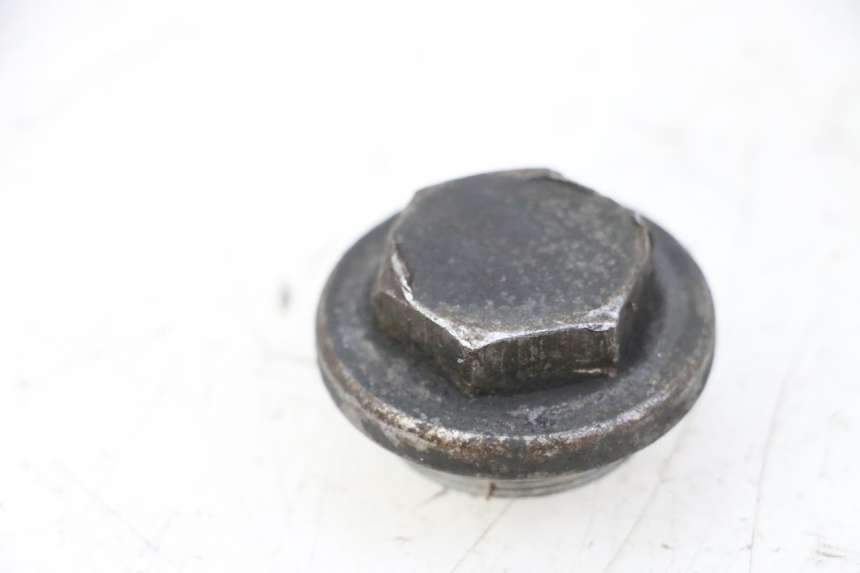 photo de ÖLWANNE-DECKEL PIAGGIO MP3 RL 250 (2007 - 2010)