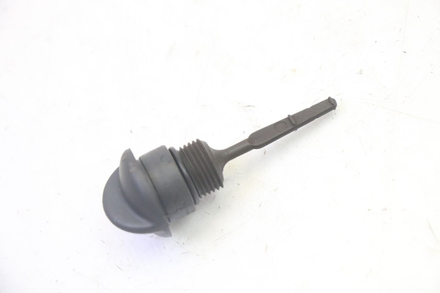 photo de ÖLDECKEL PIAGGIO XEVO - X EVO 125 (2007 - 2016)