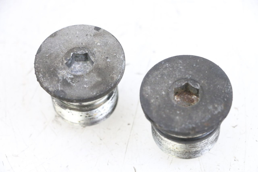 photo de GABELKAPPE PIAGGIO X8 125 (2004 - 2007) - Hauptansicht