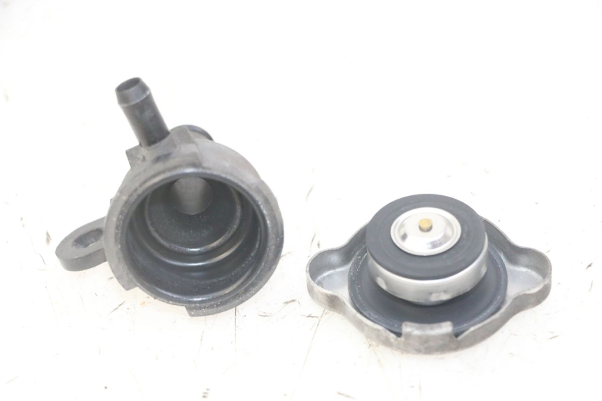 photo de KÜHLERDECKEL HONDA FORZA ABS 300 (2013 - 2019)