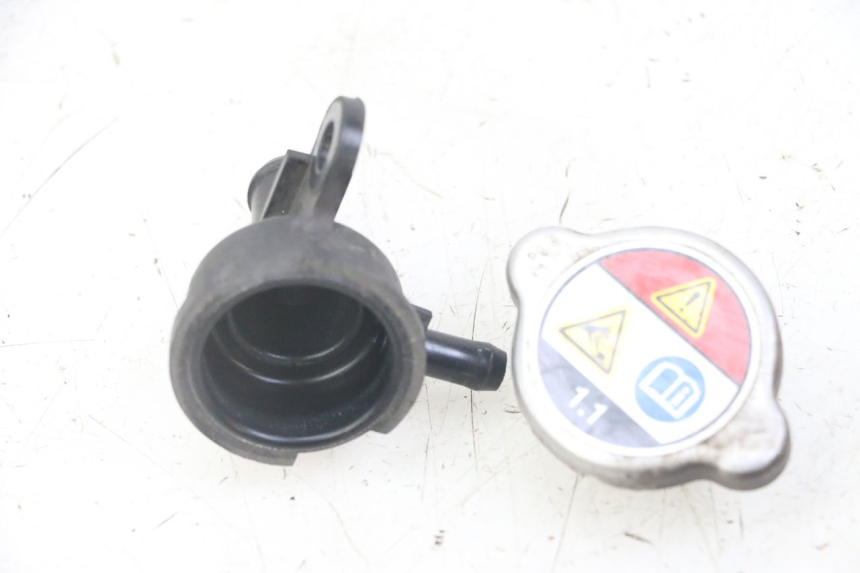 photo de KÜHLERDECKEL HONDA FORZA ABS 300 (2013 - 2019)