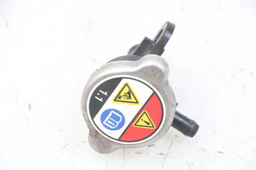 photo de KÜHLERDECKEL HONDA FORZA ABS 300 (2013 - 2019)