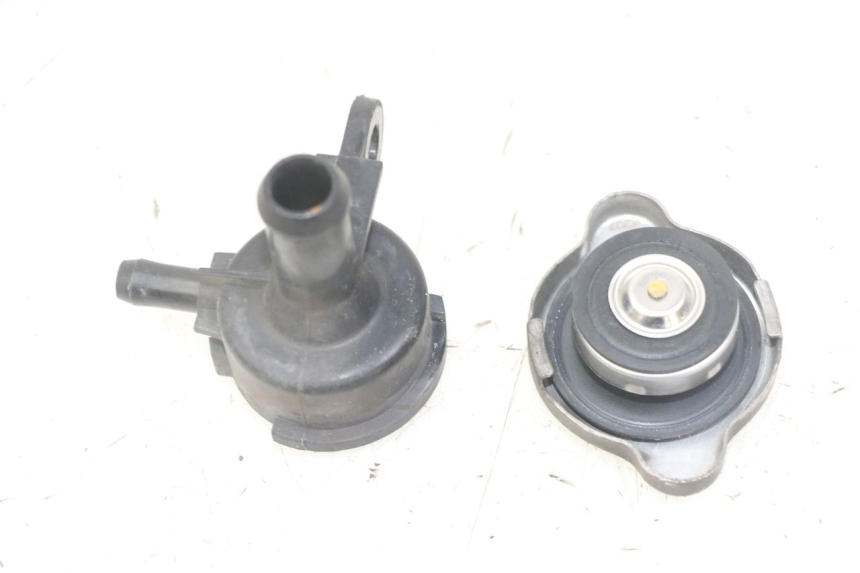 photo de KÜHLERDECKEL HONDA FORZA ABS 300 (2013 - 2019)