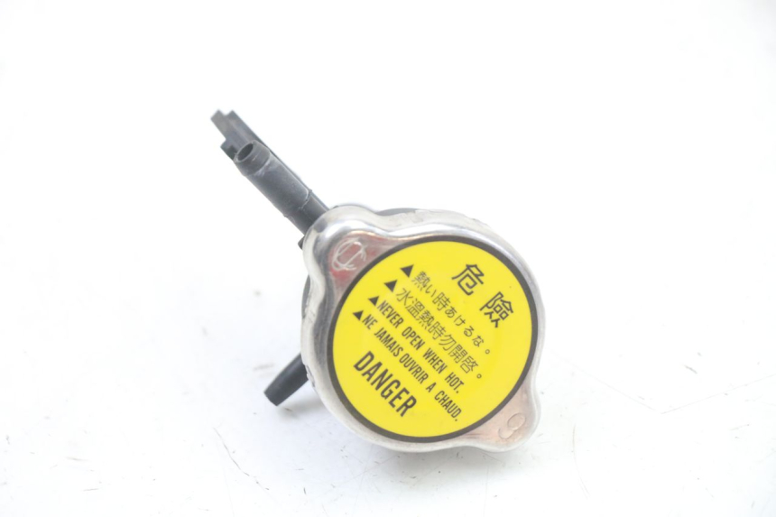 photo de KÜHLERDECKEL KYMCO GRAND DINK 125 (2008 - 2014)