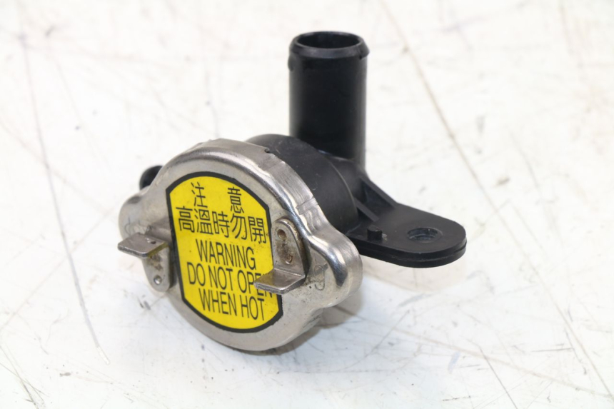 photo de KÜHLMITTELDECKEL SYM GTS EFI 125 (2012 - 2016)