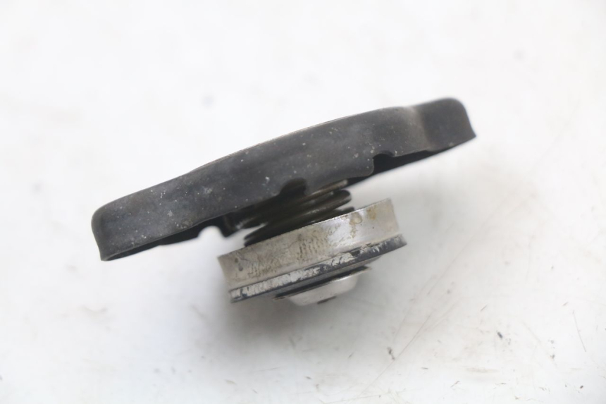 photo de KÜHLERDECKEL HONDA CBR F 1000 (1993 - 1996)