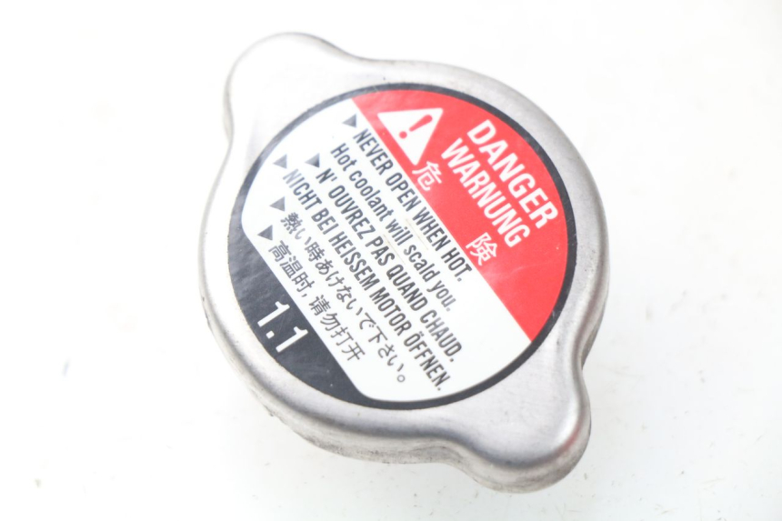 photo de KÜHLERDECKEL HONDA NSS EX FORZA 250 (2008 - 2009)