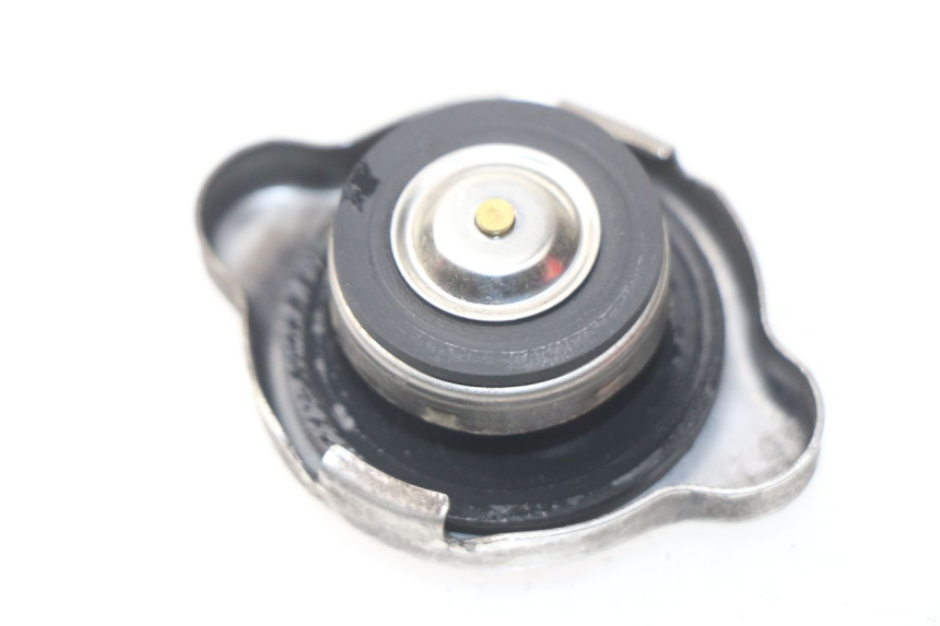 photo de KÜHLERDECKEL HONDA NSS EX FORZA 250 (2008 - 2009)