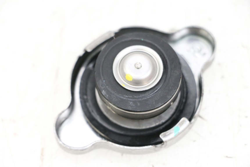 photo de KÜHLERDECKEL BMW R GS 1250 (2021 - 2024) - Hauptansicht