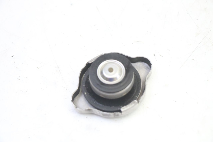 photo de KÜHLERDECKEL HONDA ST PAN EUROPEAN 1300 (2002 - 2013)