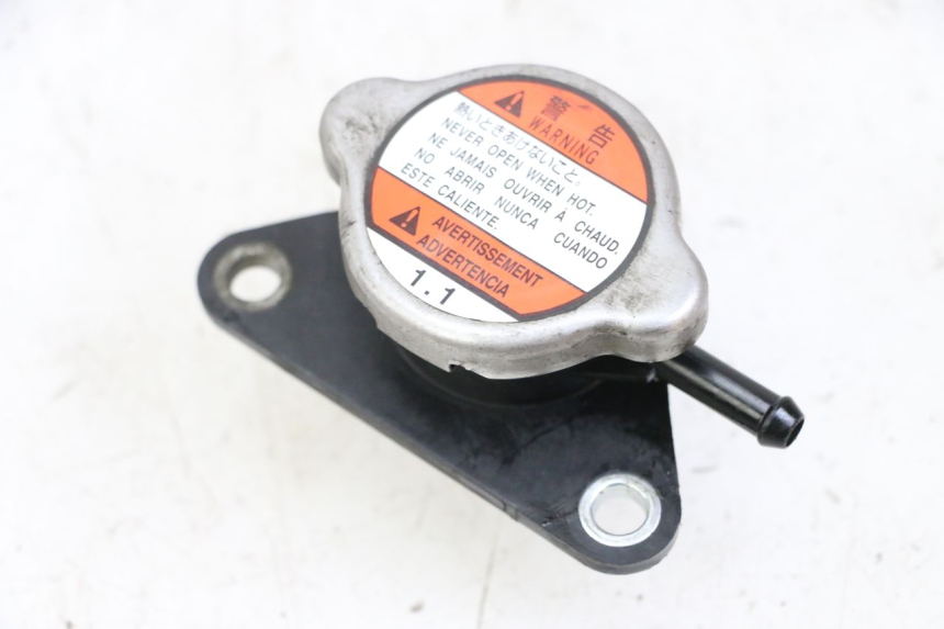 photo de KÜHLERDECKEL SUZUKI BURGMAN 125 (2015 - 2017)