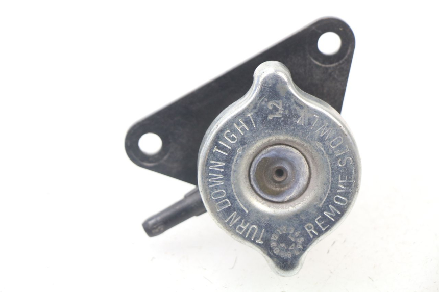 photo de KÜHLERDECKEL YAMAHA XMAX X-MAX ABS 125 (2014 - 2016) - Hauptansicht