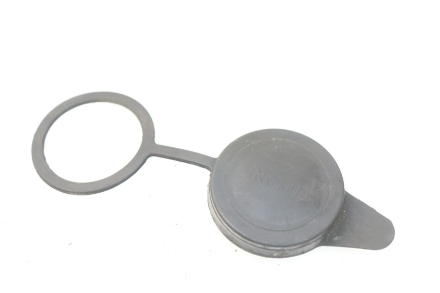 photo de KÜHLWASSERDECKEL SYM JOYMAX 250 (2013 - 2017)