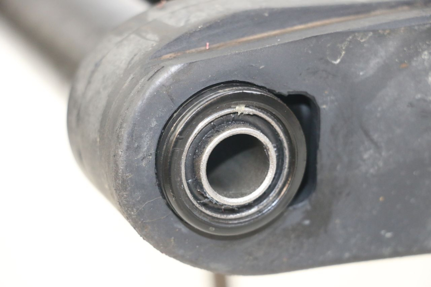 photo de SCHWINGE ARCHIVE CAFE RACER 4T 50 (2019 - 2024)