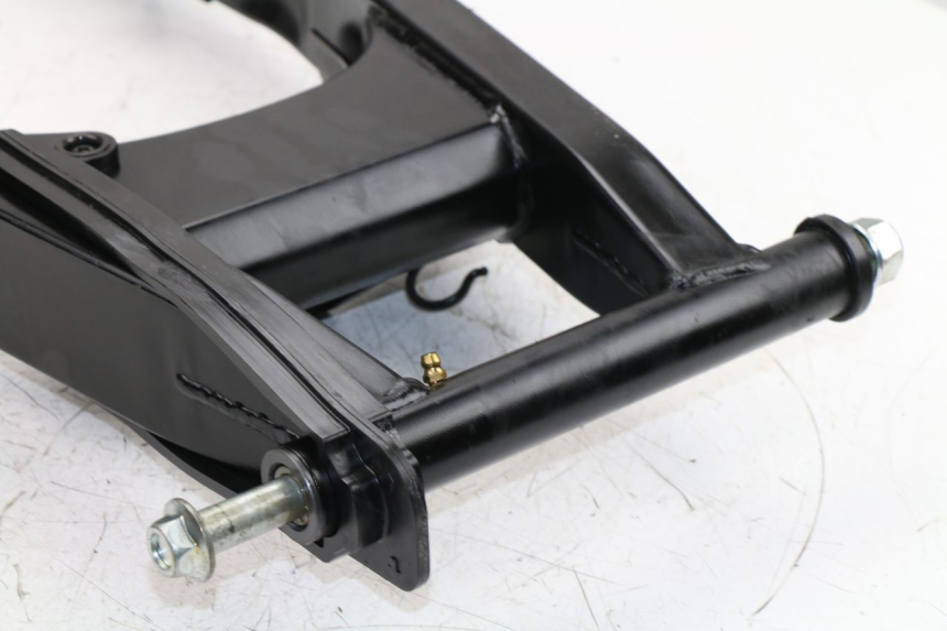 photo de SCHWINGE DAELIM VJ ROADWIN FI 125 (2008 - 2017)