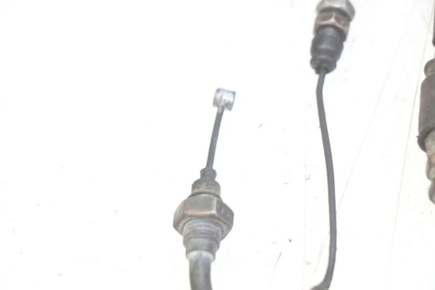 photo de GASZUG HONDA FES PANTHEON 2T 125 (1998 - 2002)