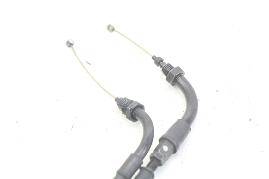 photo de GASZUG HONDA FORZA 125 (2015 - 2016)