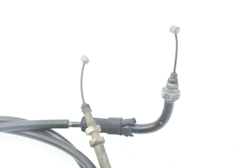 photo de GASZUG HONDA SCV LEAD 100 (2003 - 2007)