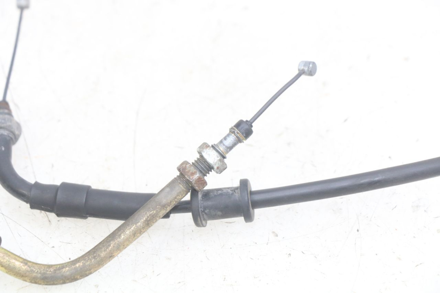 photo de GASZUG HONDA SCV LEAD 100 (2003 - 2007)