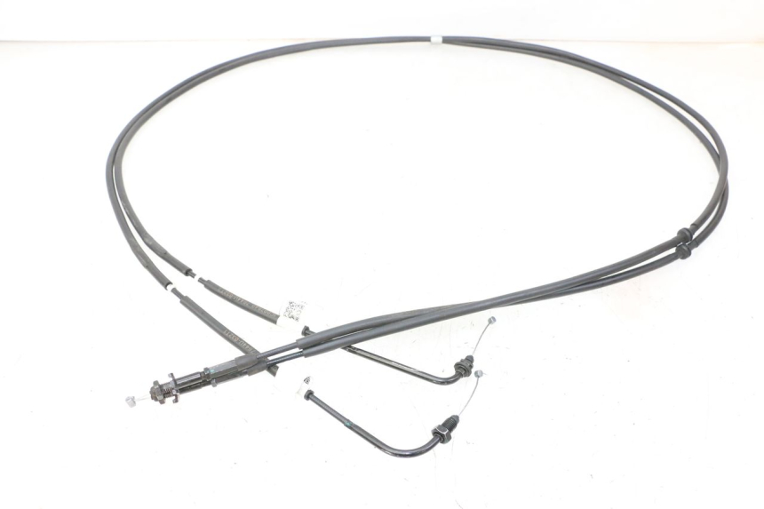 photo de GASZUG PIAGGIO MP3 HPE 310 (2024 - 2025)