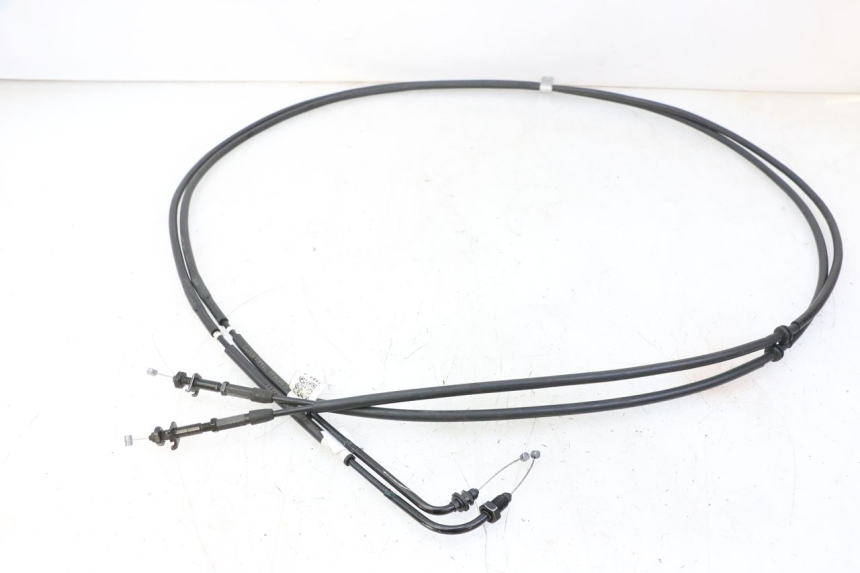 photo de GASZUG PIAGGIO MP3 HPE 310 (2024 - 2025)