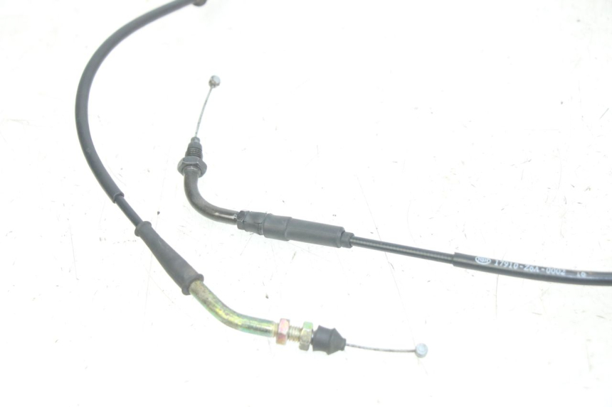 photo de GASZUG PEUGEOT TWEET 4T 50 (2014 - 2019)