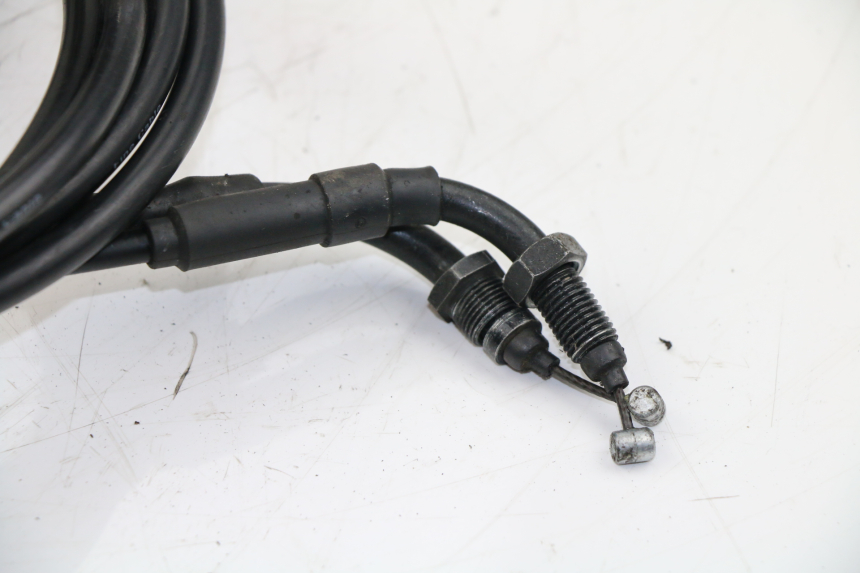 photo de GASZUG HONDA SH 300 (2011)