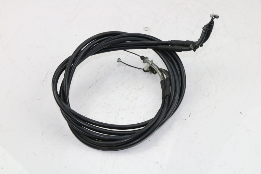photo de GASZUG HONDA SH 300 (2011)